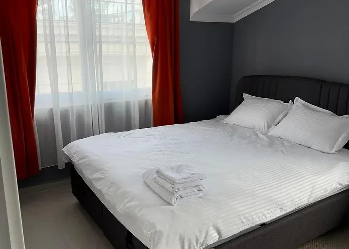 Spacious&scenic Attic In Center *