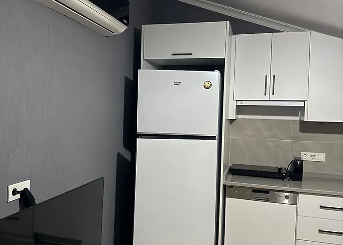 Spacious&scenic Attic In Center