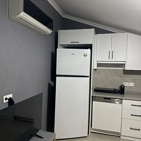 Spacious&scenic Attic In Center