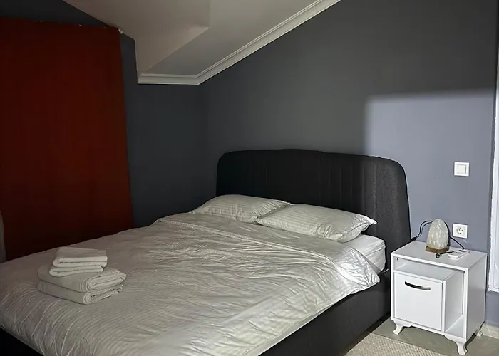 Spacious&scenic Attic In Center Appartement