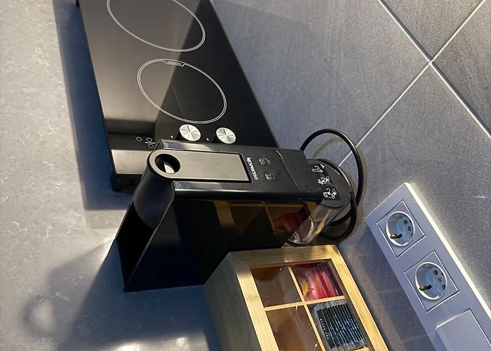 Spacious&scenic Attic In Center